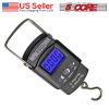 5 Core Fish Scale 110 LBS 50 KG Luggage Handheld Portable Electronic Balance Digital Fishing Postal Hanging Hook Scale with 2 AAA Batteries Built-in M